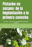  Pistacho en secano: de la implantación a la primera cosecha: Qué hacer —y qué no— en una plantación de pistacho en secano