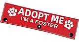 Advivio Adopt Me Foster Dog Leash Sleeve - Funny Red Alert Design with Hanging ID Patch, for Dog Owners & Foster Parents