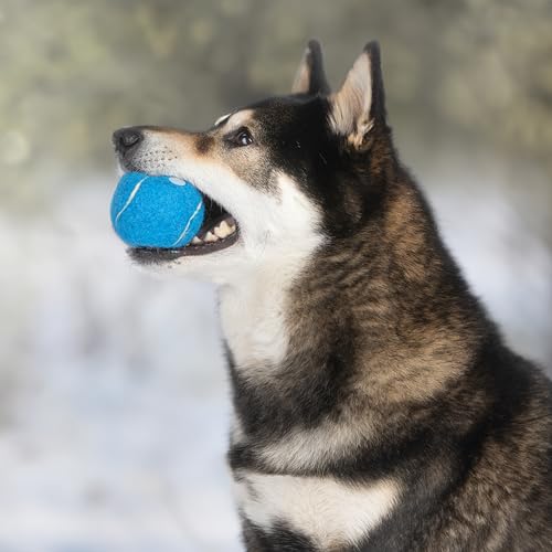 Image of Best Pet Supplies Interactive Squeaky Dog Chew Toy, Ideal Dog Toys for Chewers, Small, Medium & Large Dogs, and Fetch Lovers - Tennis, Large (Pack of 4)