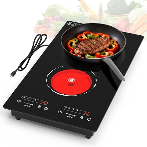 VBGK Electric Cooktop,110V 2100W 2 Burner Electric Cooktop,C