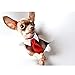 Segarty Dog Neckties Puppy, 6pcs Formal Classy Pet Neck Ties Little Dog and Kitten Suit, White Cat Collar with Black Red Pink Tie, Tuxedo Bow Tie Collar for Small Dogs Puppies Wedding Costumes