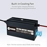 Zoom IMG-2 dchouse caricabatterie 12v 20a lifepo4 Zoom IMG-2 dchouse caricabatterie 12v 20a lifepo4