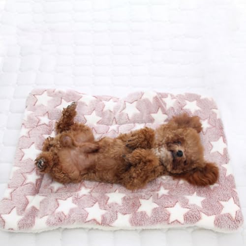 Hi.FANCY Cobertor aconchegante e calmante para gatos, conforto adicional para amigos felinos, gatos,