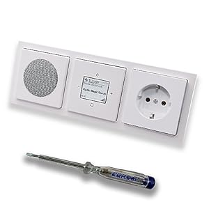 Busch Jäger iNet 8216U Future Unterputzradio Set