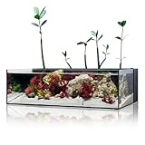 Ultum Nature Systems Dual AIO...