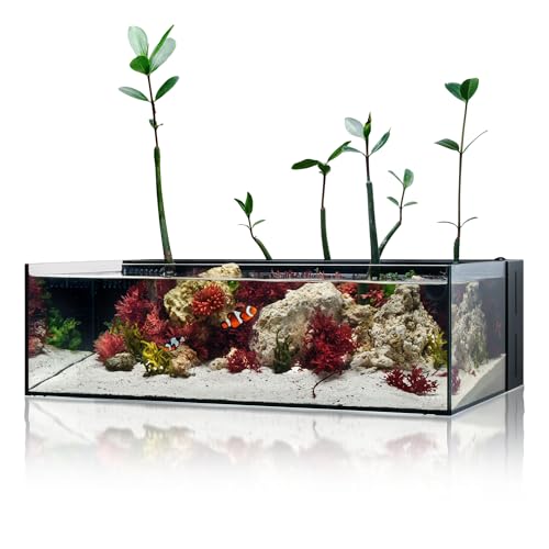Ultum Nature Systems 7-Gallon Rimless Aquarium with Filter