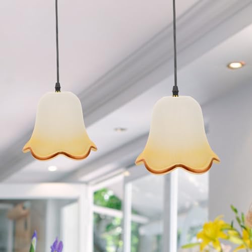 Cubierta Protectora Transparente para Lámpara con Estilo Europeo Elegante 6
