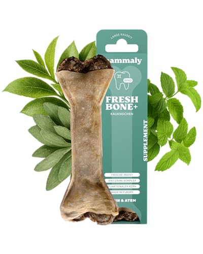 4-in-1 Zahnpflege-Kauknochen - Fresh Bone+ 1x Kauartikel (12cm) von mammaly - Kaustange aus Rinderhaut mit Salbei, Minze & Grüner Tee u.v.m. zur Mundhygiene - Kauspielzeug / -Knochen gegen Mundgeruch