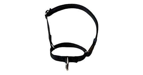 Miniatura 4 de Carter Pet Supply Martingale Dog Collar METAL BUCKLES Greyhound Training Collar (Large, YELLOW)