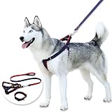 yiyifu 3 in 1 Dog Harness Suits – No Pull Solution for Dogs – Choose from Chest Nylon is Perfect for
