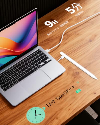 iPad 用ペンシル 2018～2026 年 iPad Pro/Air/Mini 全モデル対応 磁気吸着 誤作動防止 超急速充電 専用スタイラスペン