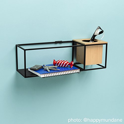 Umbra Cubist Zwevend rek met geïntegreerde plantenpot – moderne wanddecoratie en geometrische wandplank voor fotolijsten, kaarsen, brillen, kamerplanten en nog veel meer! Klein, metaal/hout, zwart - Image 4