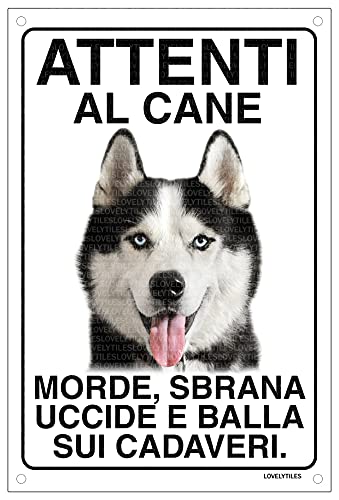 SIBERIAN HUSKY Attenti al cane morde sbrana uccide...