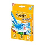 Canetinha Hidrográfica BIC Evolution, c/ 12 Cores, Ultra Lavável, Ponta Resistente, 940599, 1 Unidade