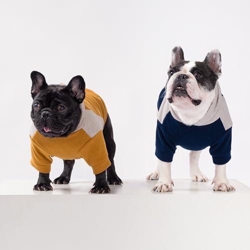 Fitwarm Color Block Dog Hoodie Sweater, Winter Clothes for Small Dogs Boy Girl, Lightweight Pet Hooded Sweatshirt, Brown, Beige, Small