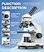 PalliPartners Compound Microscope for Adults & Kids - 100X-2000X High-Power Biological Microscope for Students, School Lab & Home Education, with Slides Set & Phone Adapter (White)