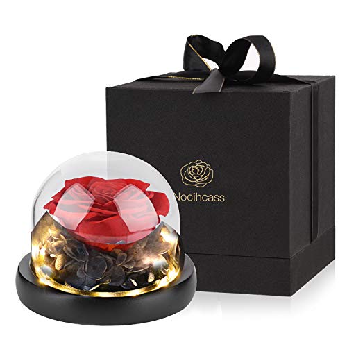 Rosa eterna - Rosa preservada hecha a mano en una cúpula de cristal con luz LED para mujer para el día de San Valentín, día de la madre, aniversario, cumpleaños