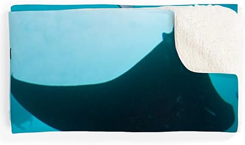 Miniatura 6 de CafePress Manta Rays Sherpa - Manta de forro polar de 60 pulgadas de largo x 50 pulgadas de ancho