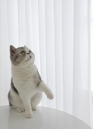 Miniatura 5 de ABCHOME Cortinas traslúcidas en pulgadas de largo, cortinas traslúcidas para ventana, 2 paneles, cortinas traslúcidas de tamaño 63, 72, 95, 108, 145