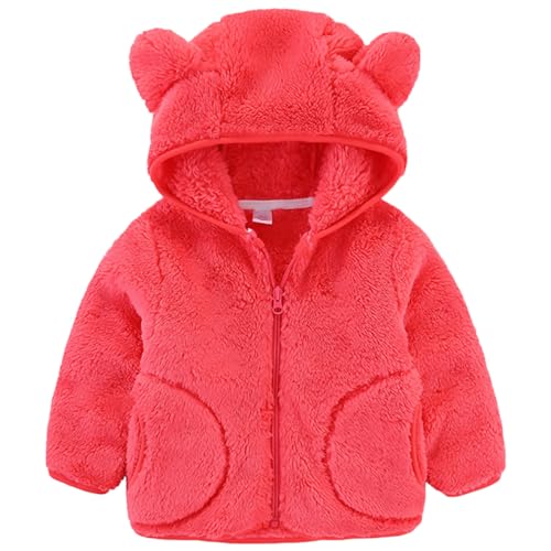 AIWUHE Toddler Boys Girls Hooded Fleece Jacket Cute Bear Hoodie Zip Up Teddy Coat Sherpa Winter Warm Outwear With Pocket 1-6Y