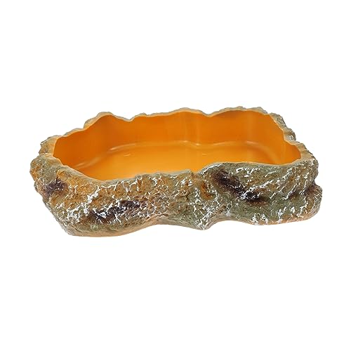 LEDMOMO ミング フード ボ トカゲ 爬 フード