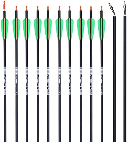 REEGOX Carbon Arrows Vital Seeker Hunting Arrows with 100 Grain Field Points Practice Target Arrows for Archery Compound Bows and Recurve Bow (12 Pack) REEGOX Carbon Arrows Vital Seeker Hunting Arrows with 100 Grain Field Points Practice Target Arrows for Archery Compound Bows and Recurve Bow (12 Pack)