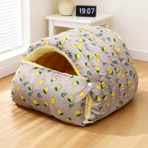 Mikuzo hLxbh ~ph[^nEX 􂦂ۉ}bgt ^/^ ˂  傫 }bg _炩 ˂ lR xbh p ӂӂNbVf Opybgxe hzc  ~pxbh L xbh ~ Lzc