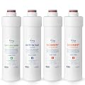 iSpring F4RO5004F 1-Year Replacement Filter Pack for RO5004F Tankless Reverse Osmosis System
