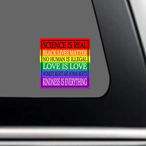 Kindness Is Everything Rainbow Sticker - Gay Pride Human Rights Premium Vinyl Decal 3 X 3" L For Car Bumper Auto Window Lgbt Science Is Real Love Is Black Lives Matter Blm + Better Than Magnets #TOP2