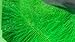 Pack of 2 Koi Spawning Brushes 39 Inch by 7 Inch (Green)