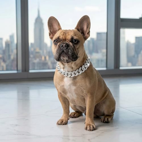 Image of Dog Chain Diamond Collar Walking Metal Chain Collar with Design Secure Buckle, Pet Collar Jewelry Accessories for Small Medium Large Dogs Cats (Silver, 8 Inch)