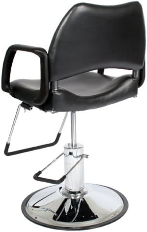 Hydraulic Salon Styling Chair