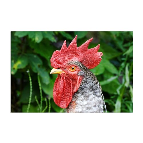 Tableau décoration murale poule et coq pour sublimer votre salon ou cuisine