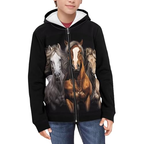 Boys’ Zip-Up Hoodie Full Zip Sweatshirt Hooded Sweatshirts Jacket for Boys Size 6-16