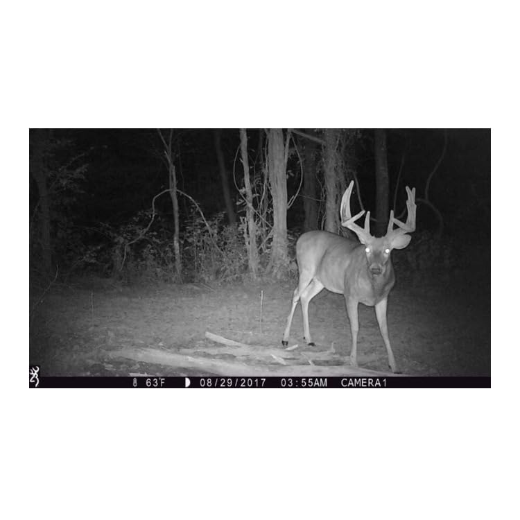 Browning Strike Force Pro X 1080 Trail Camera