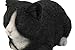 Hi-Line Gift Ltd Sleeping Cat Statue, Black/White