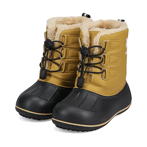 [Zu] moz Y Xm[u[c LbY h V[gu[c ̎q j̎q hu[c r[u[c Cu[c g L 15cm