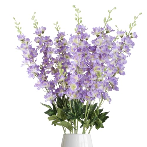 Fqueelvys Purple Delphiniums