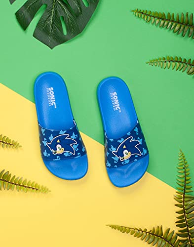Sonic The Hedgehog Sliders For Boys Kids Sonic Face Sandals Beach Shower Shoes | Childrens Blue Flip Flops Summer Footwear #TOP1