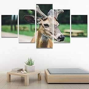 SIGNWIN 5 Panel Canvas Wall Art Animals Cheetah...