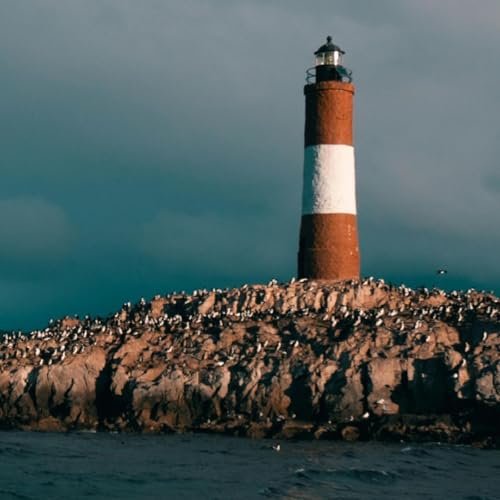 Episodio 9 - Lecturas de un Bufón Loco - Poema "El faro"