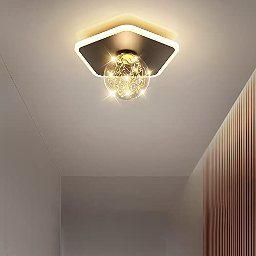 Lámparas de techo pequeñas de 16W para iluminar un guardarropa oscuro 3