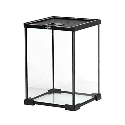 Reptizoo Mini Reptile Glass Terrarium Tank 8" X 8" X 12" Full View Visually Appealing Top Feeding & Venlitation Small Reptile Glass Habitat #TOP4