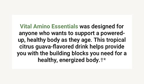 Activatedyou Vital Amino Essentials, Complete Essential Amino Acids + Elderberry + Vitamin D3 Support Supplement, Citrus Guava Flavor, 30 Servings #TOP3