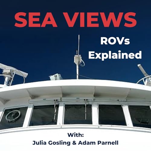ROV Offshore Operations Explained: Subsea Technology, Deepwater Robotics and ROV Careers | Sea Views Podcast By  cover art