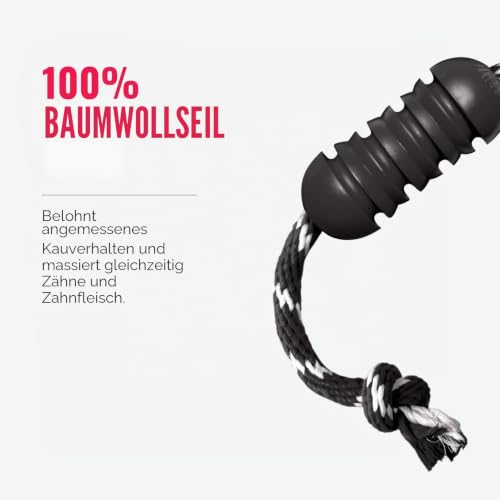 KONG Extreme Dental mit Seil, Für Mittelgroße Hunde