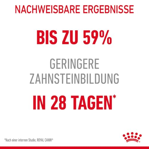 ROYAL CANIN Dental Care Katzentrockennahrung – 2 x 0.4 kg