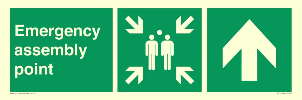 Emergency assembly point directional Up arrow Sign - 600x200mm - L62
