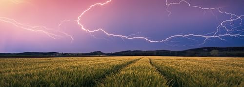 Puzzle 500 pièces Panorma Nature édition : d'été Ravensburger France - vue 2