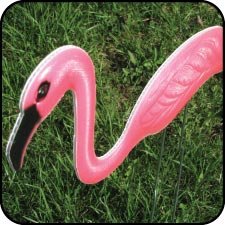 Victorystore Outdoor Yard Sign Stakes - Flamingo Flocking - Pink Flamingo You've Been Flocked Set. 4Mm Corrugated Plastic-Stores And Totes Flat, Easy To Use 12380 #TOP3
